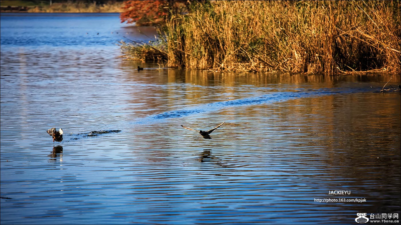 IMG_0411.jpg