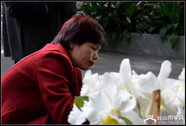 2012.11.18 Dc Flowers 130.jpg