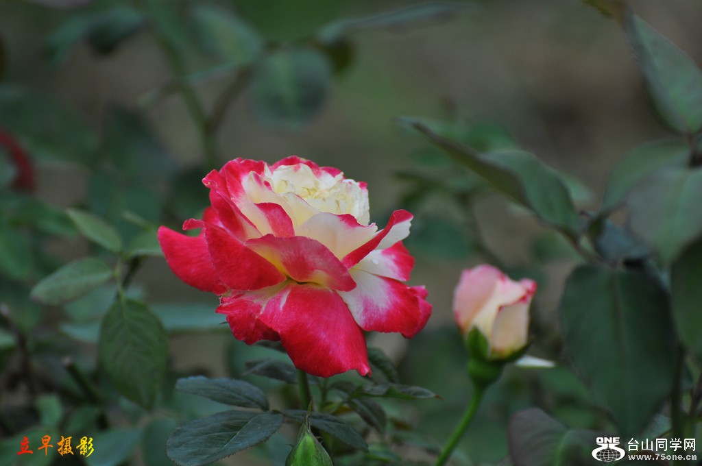 DSC_3924.JPG