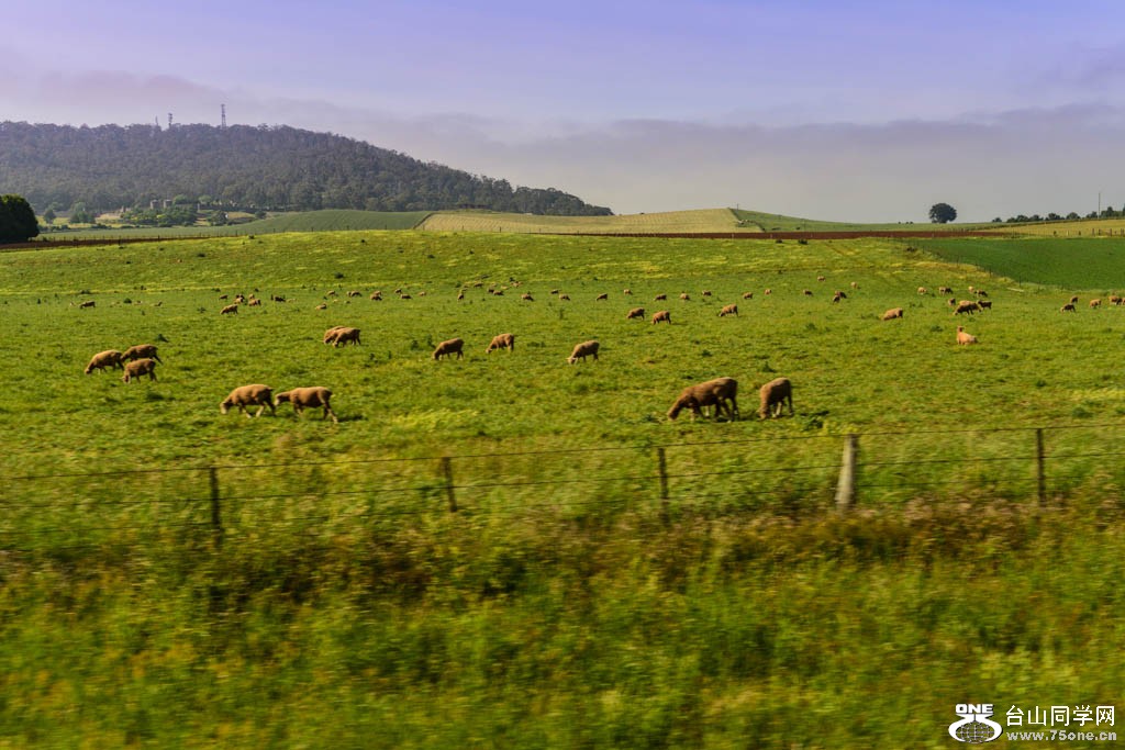 DSC_7994.jpg