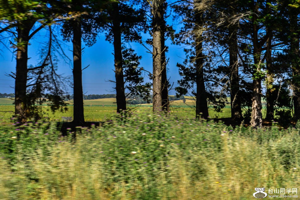 DSC_8010.jpg