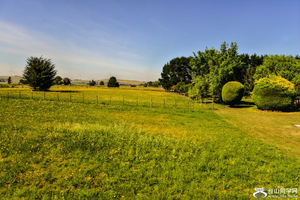 DSC_8020.jpg