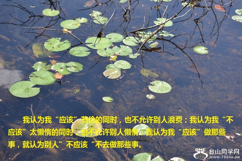 153 (800x533).jpg