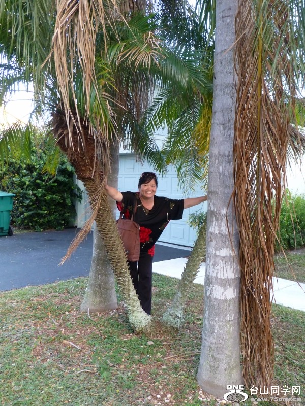 P1020186 (600x800).jpg