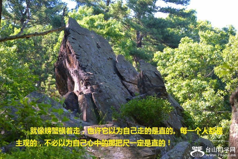 272 (800x533).jpg