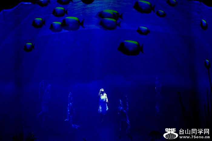 cozumel_1018.jpg