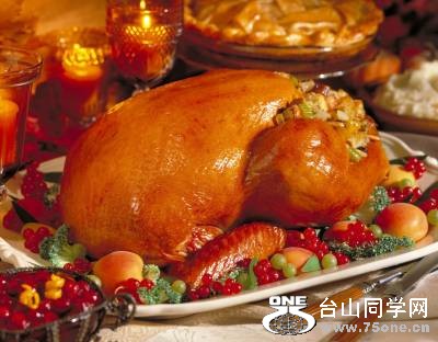 Thanksgiving%20Turkey%20Dinner-thumb-500x390[1].jpg