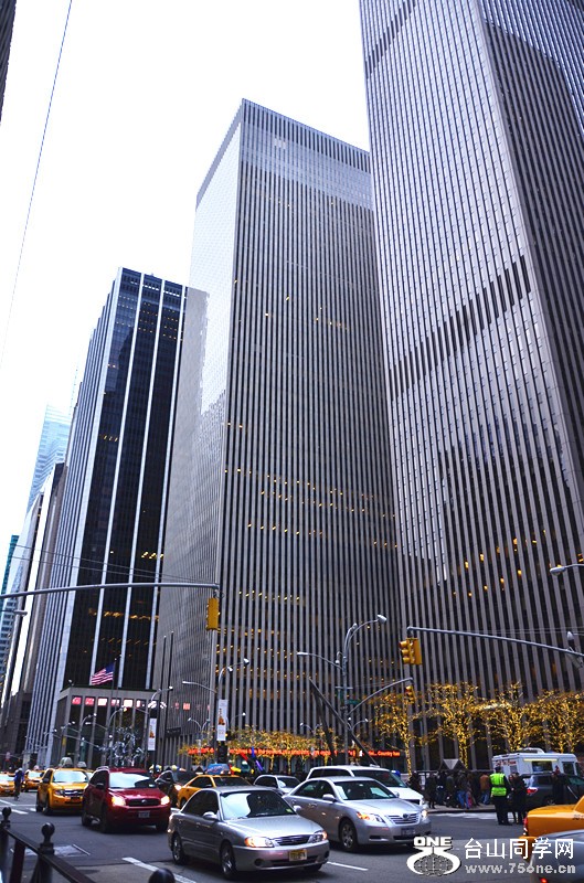 DSC_2421_.jpg