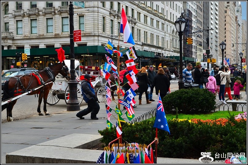 DSC_8918.jpg