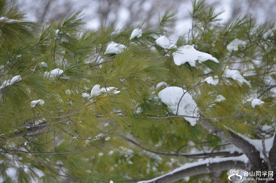 DSC_2516.JPG