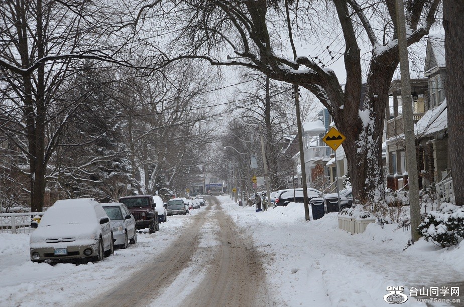 DSC_2534.JPG