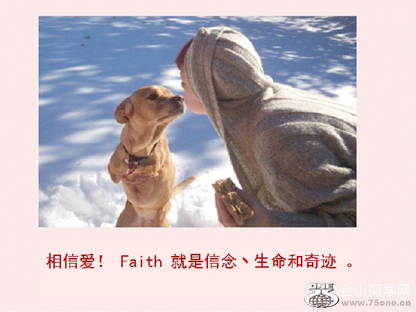 21lovedog.jpg