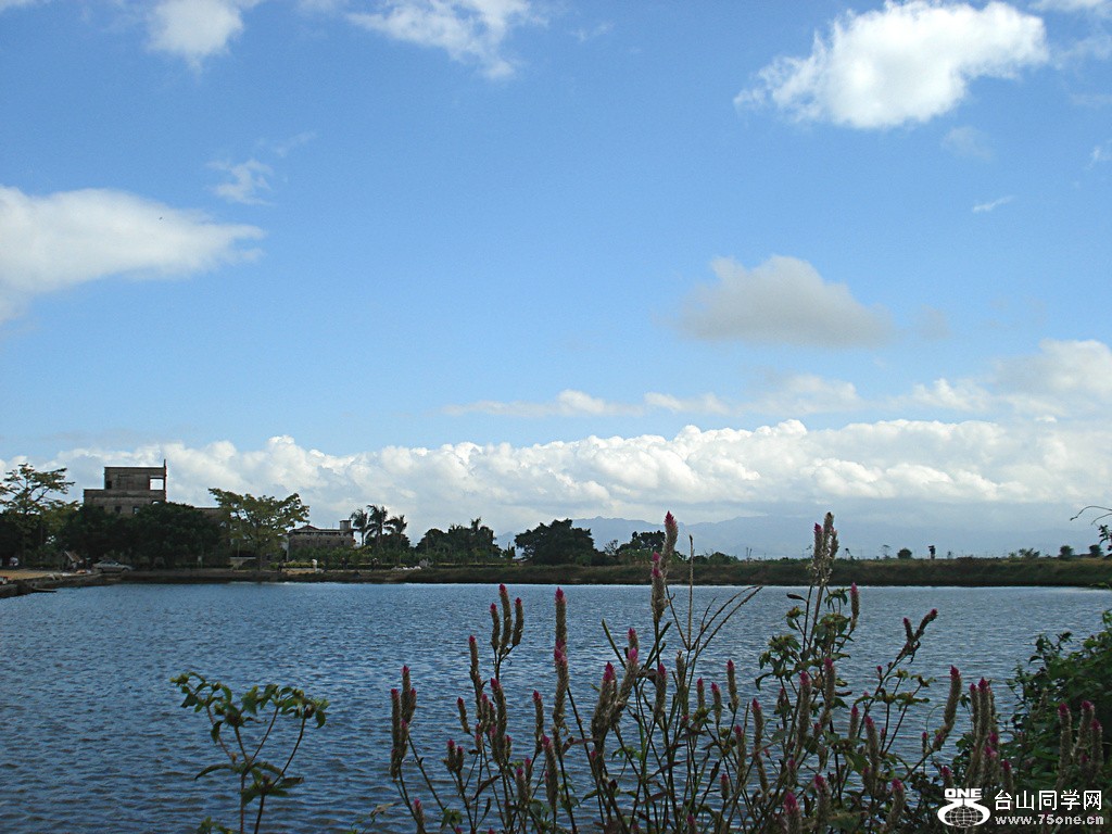 DSC00133.jpg