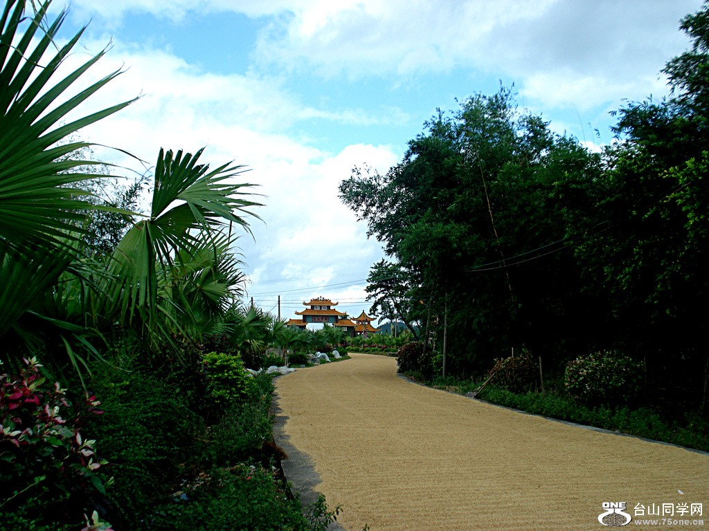DSC00140.jpg