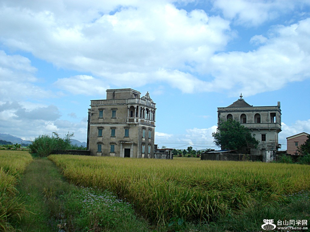 DSC00113.jpg
