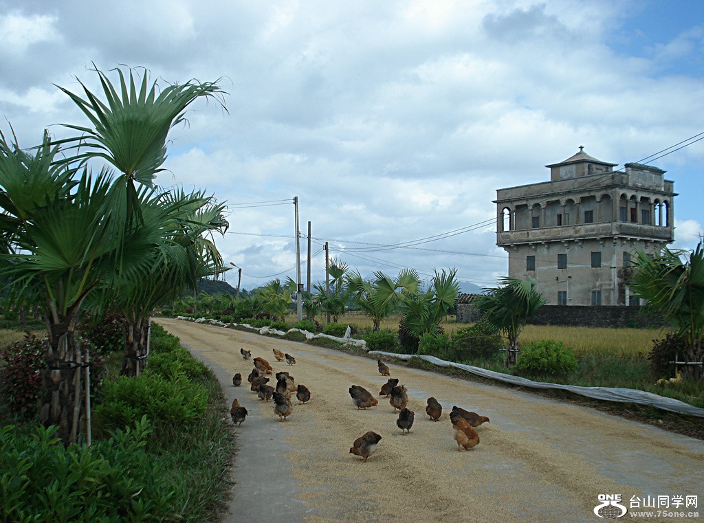 DSC00098.jpg