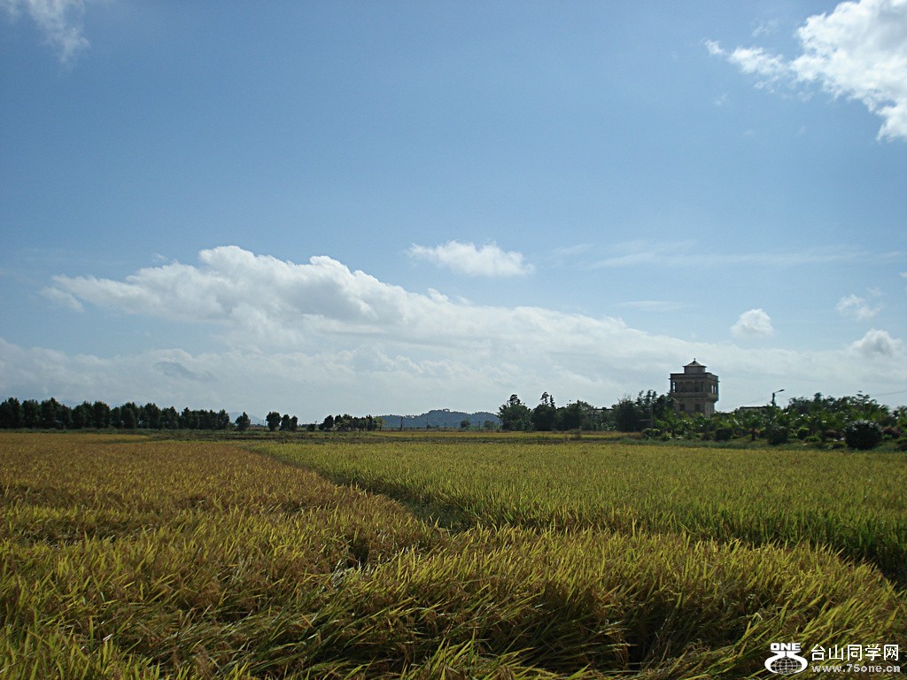 DSC00034.jpg
