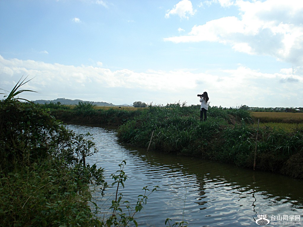DSC00116.jpg