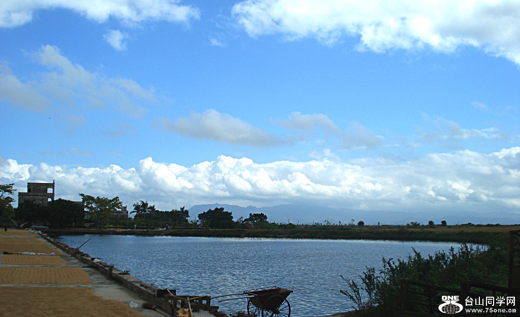DSC00137.jpg