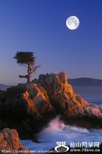 lone-cypress-full-moon_0.jpg