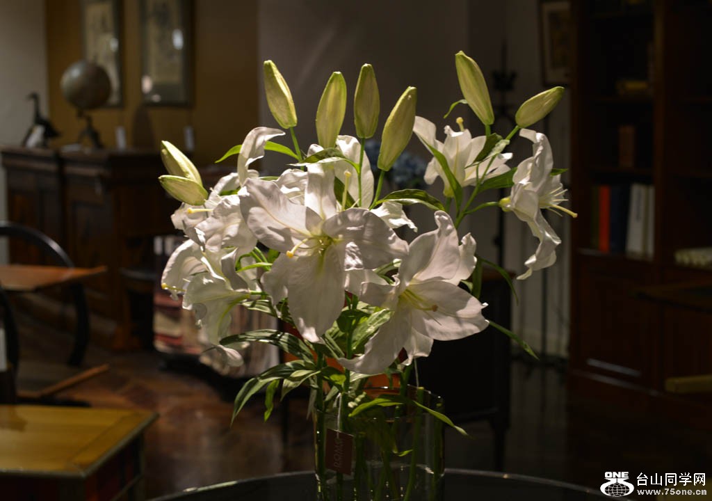 DSC_2816.jpg