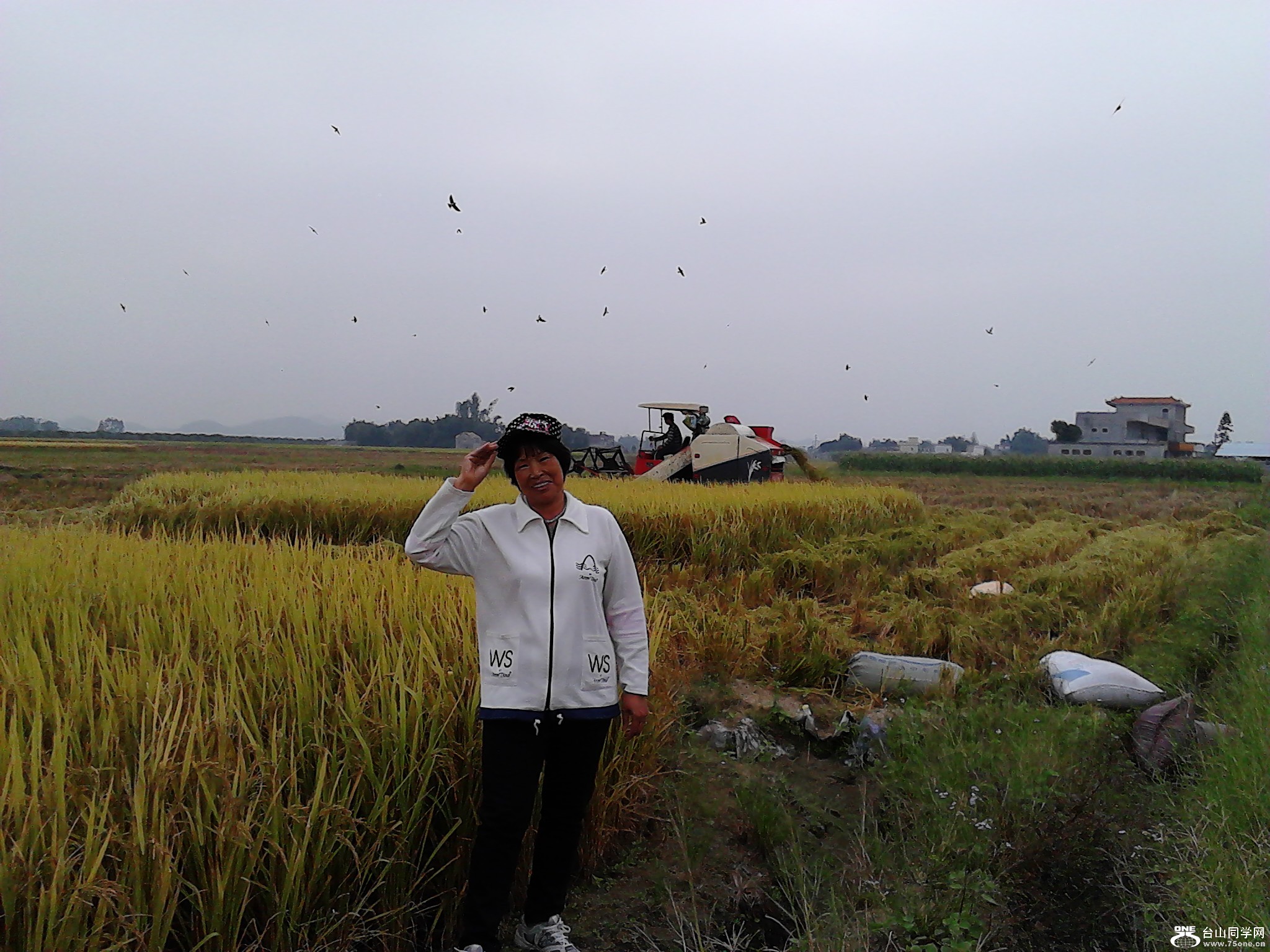 IMG_20121118_140623.jpg