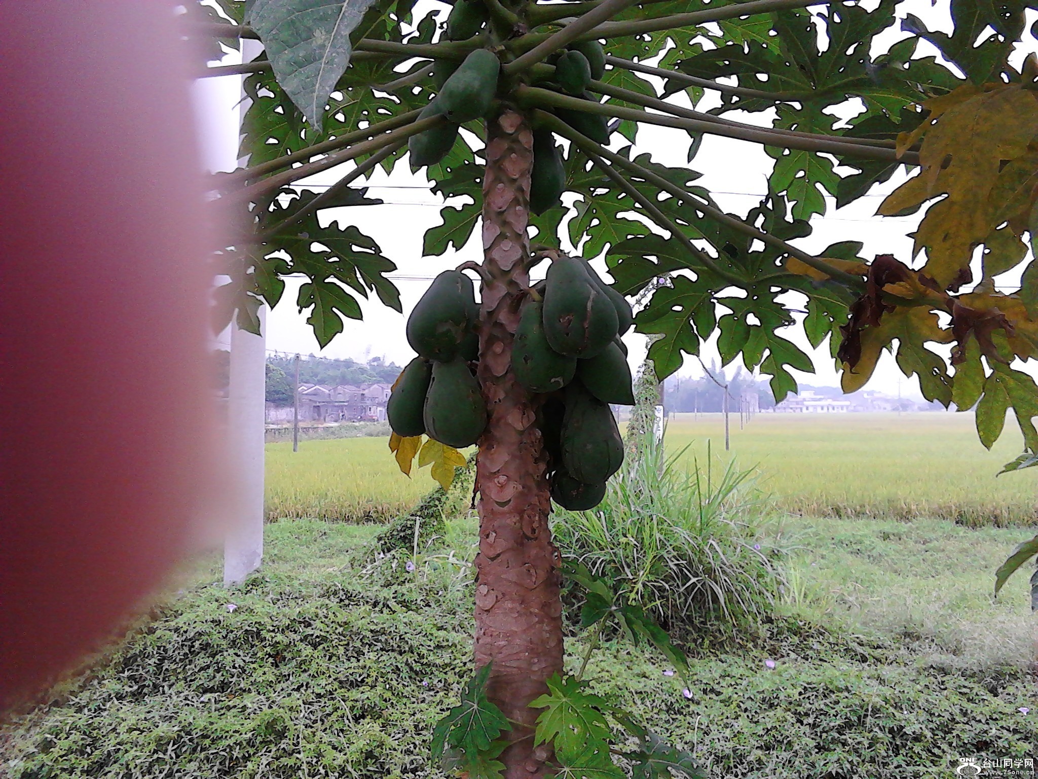 IMG_20121027_124748.jpg