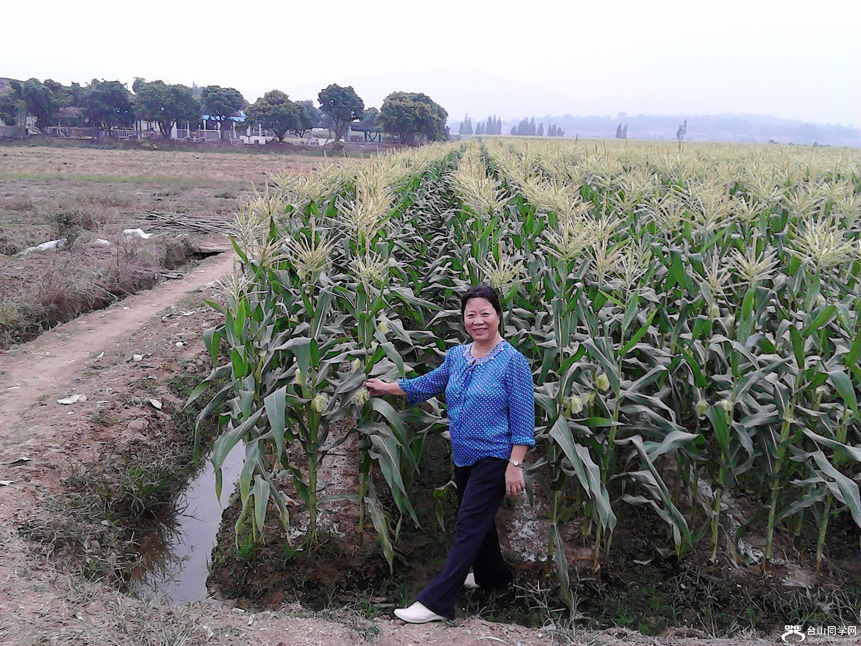 IMG_20121027_114625.jpg