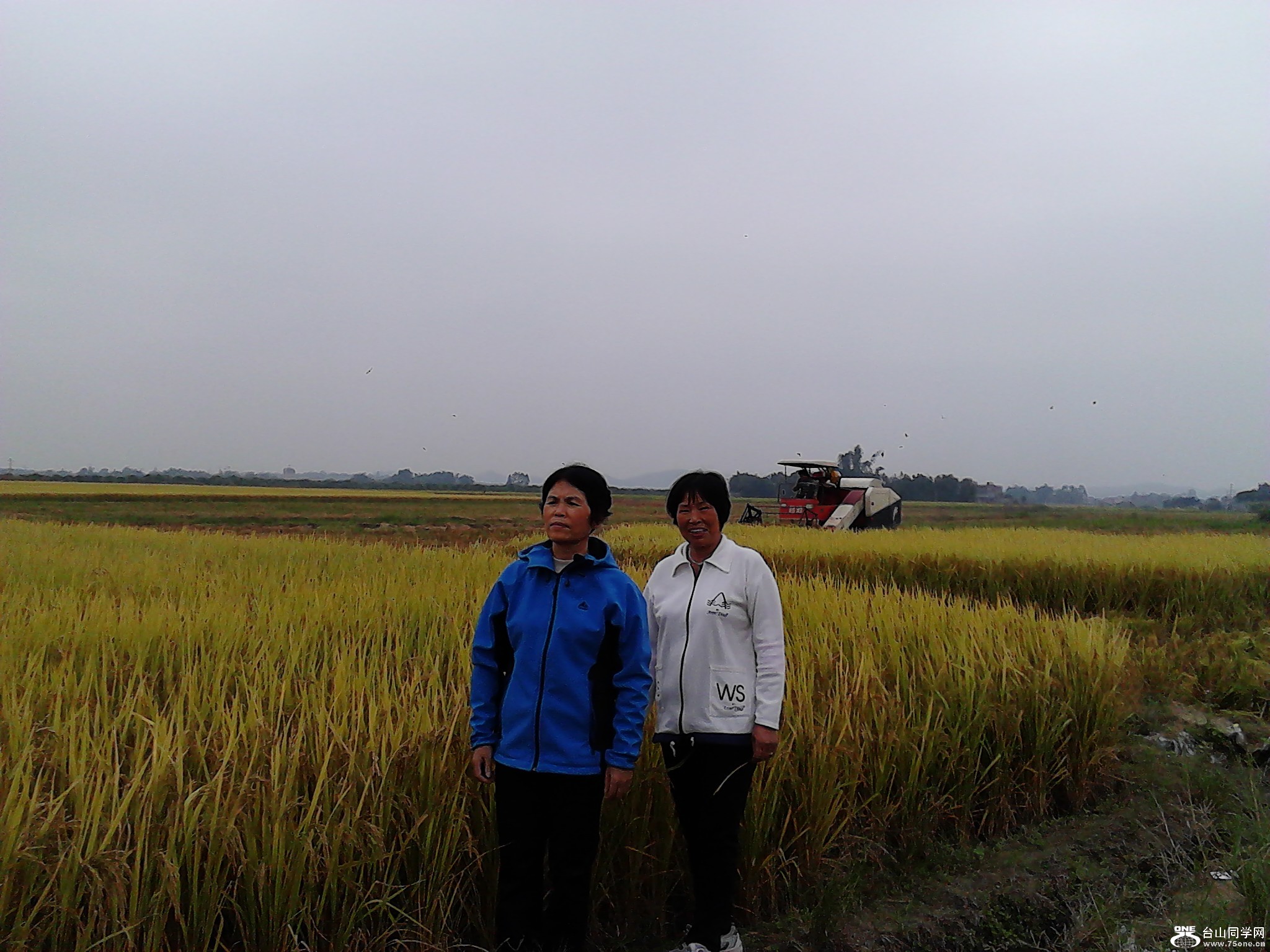 IMG_20121118_140501.jpg