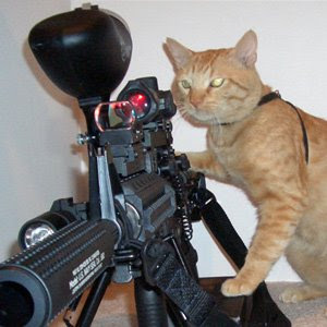 Funny_Animals_With_Guns_6.jpg