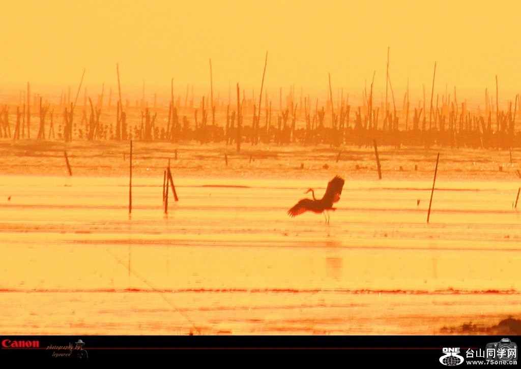 ��Ƭ 1782_conew1.jpg