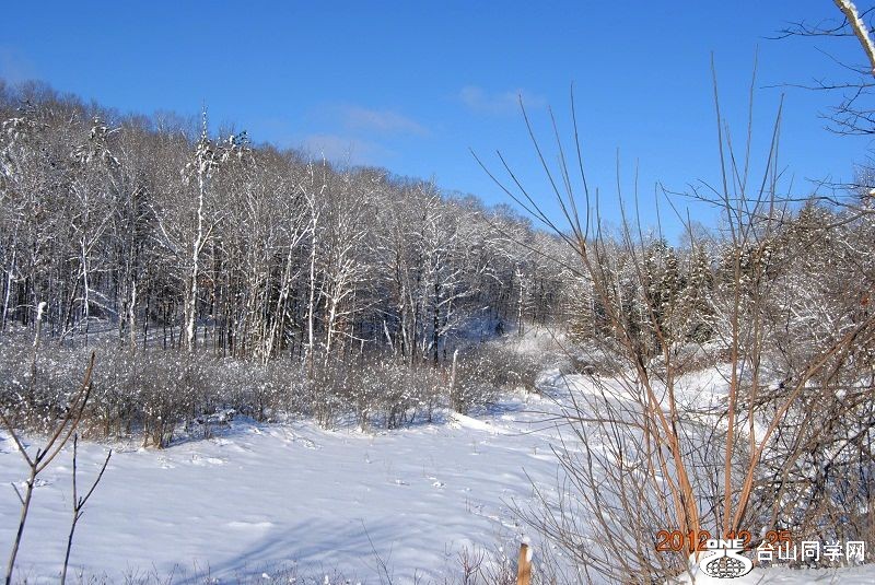 DSC_0031.JPG