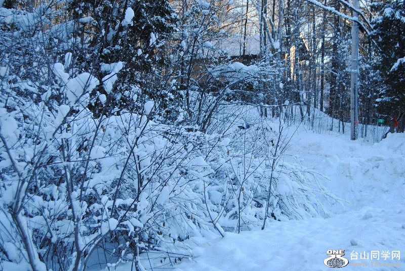 DSC_0093.JPG