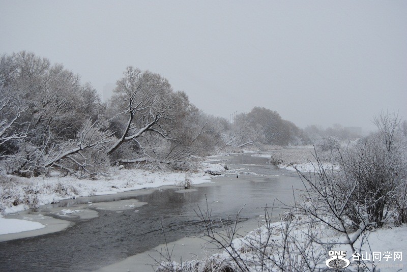 DSC_9830.JPG