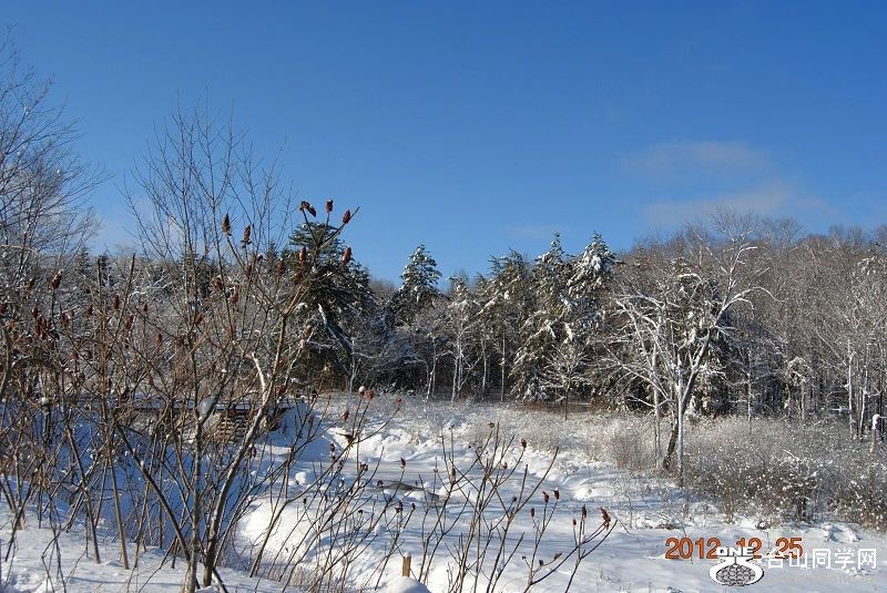 DSC_0032.JPG