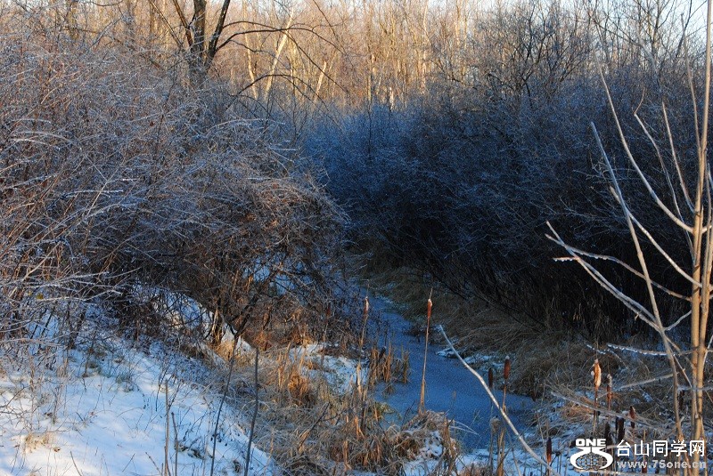 DSC_9704.JPG