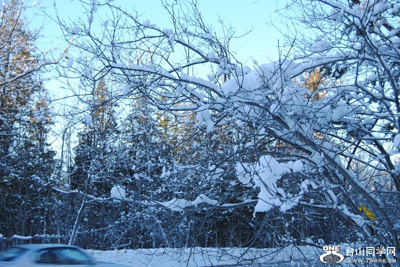 DSC_0087.JPG