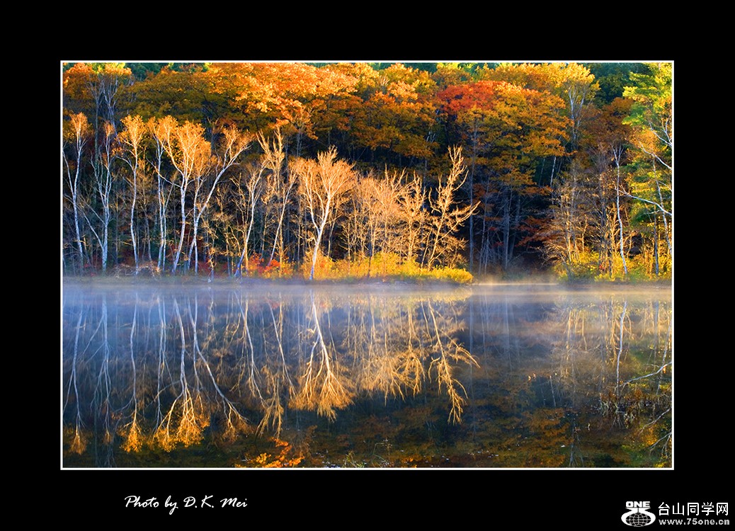 Morning Reflection.jpg