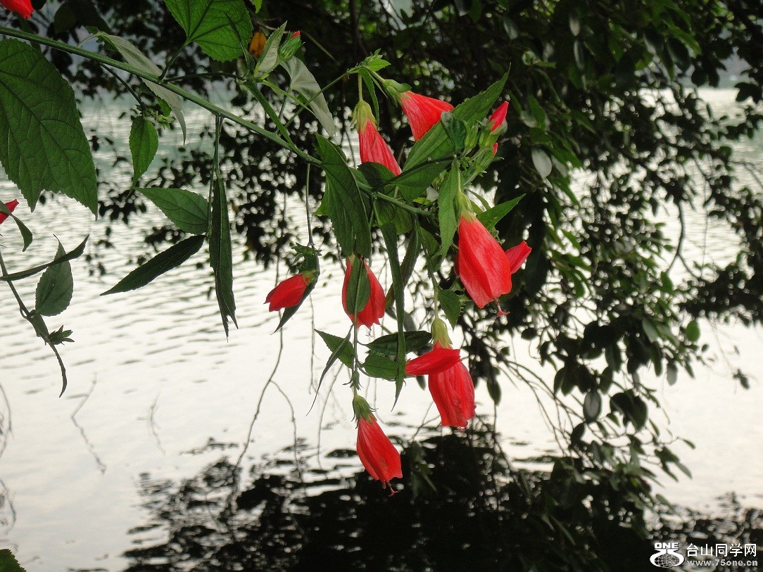 DSC05729.JPG