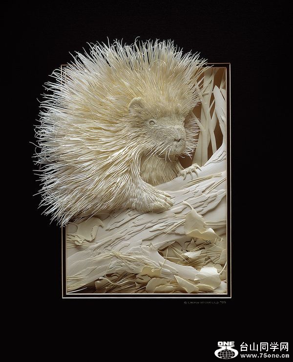 Wild-Life-Paper-Art-Creations-1.jpg