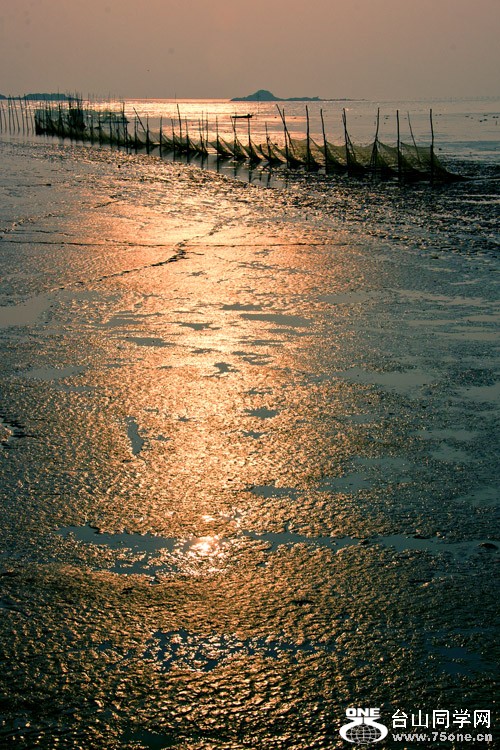 DSC_4397aa.jpg