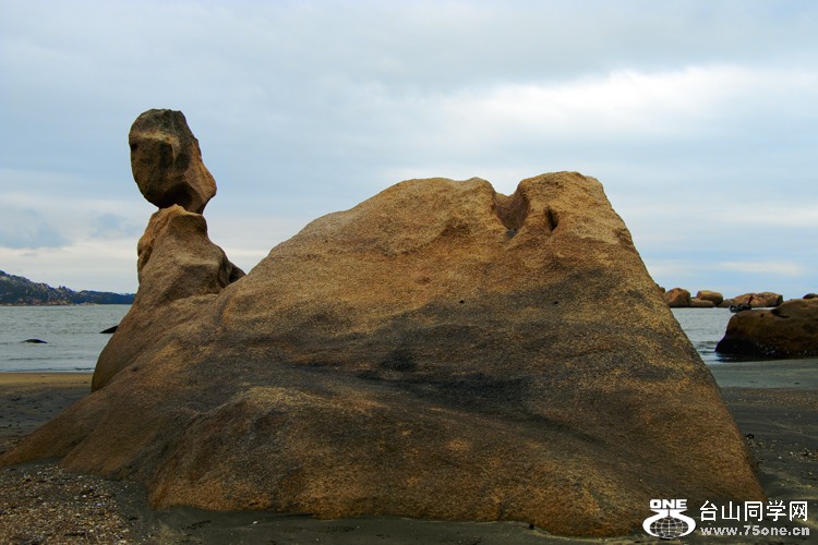 DSC_3847aa.jpg