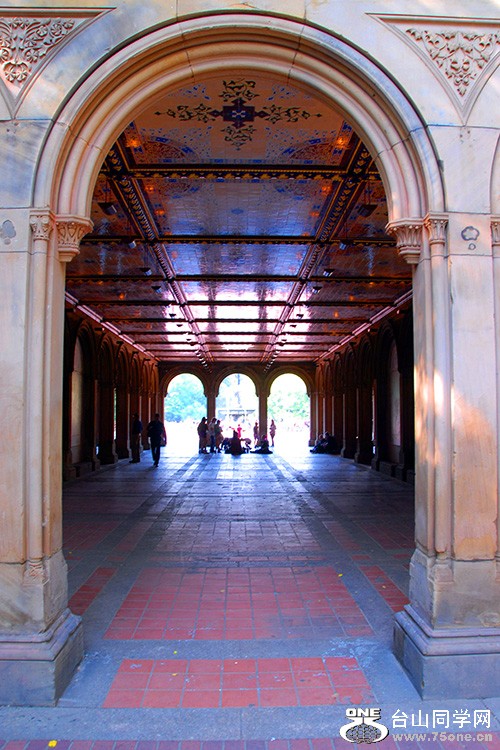 DSC_9718aa.jpg