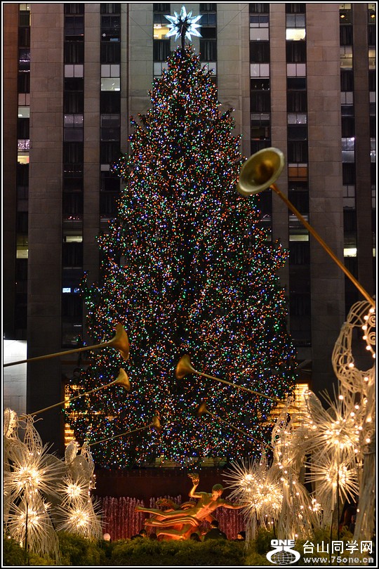 DSC_9472.jpg
