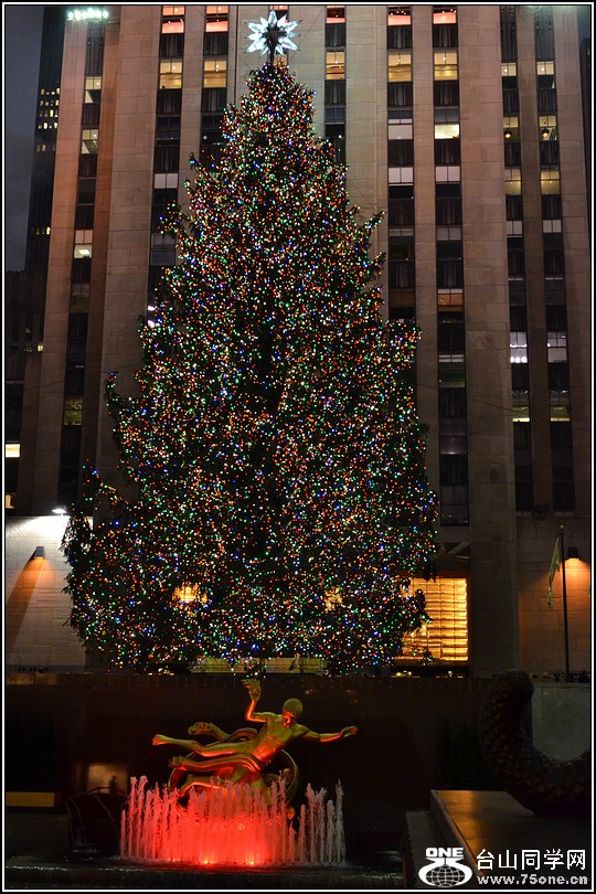 DSC_9515.jpg