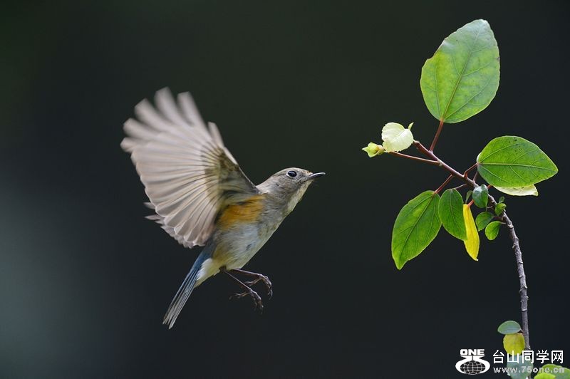 DSC_4541.JPG