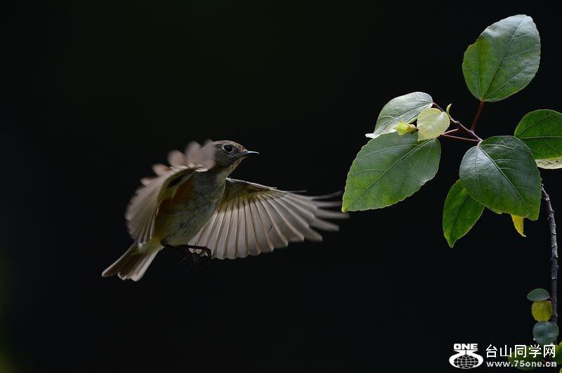 DSC_4402.JPG