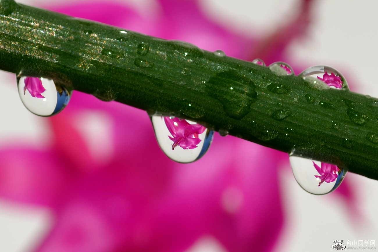 DSC_2387_121.jpg