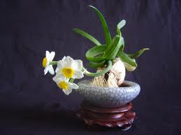 flower.jpg
