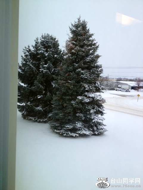 snow1.JPG